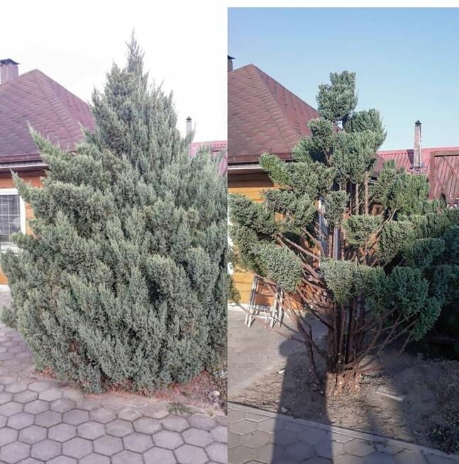 Dorywcza praca w ogrodnictwie