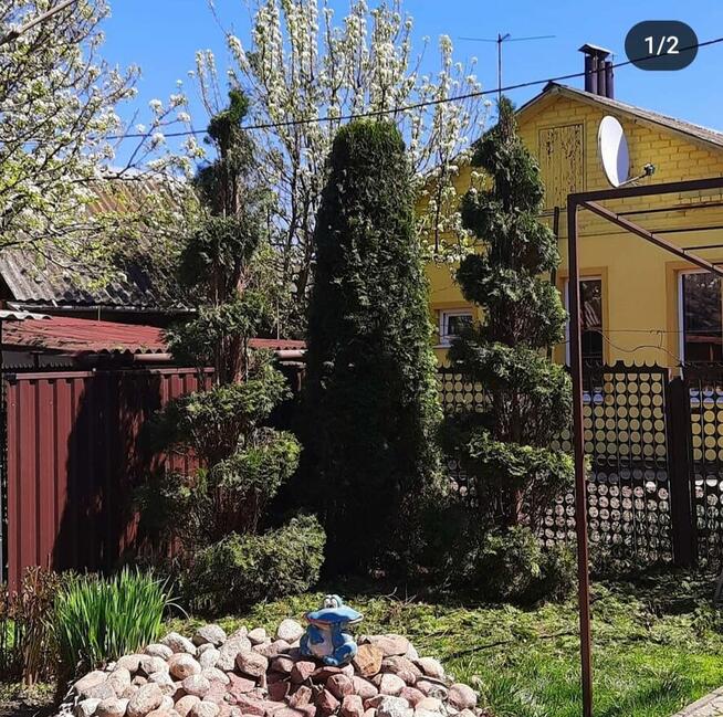 Dorywcza praca w ogrodnictwie