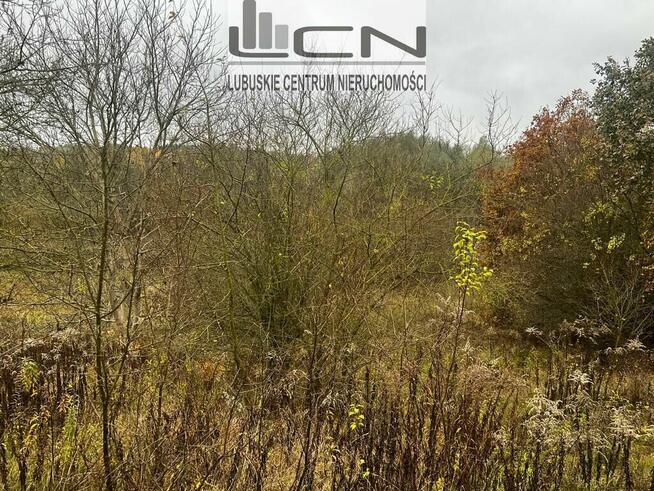 DZIAŁKA osiedle Piaski okolice ul. Owocowej Gorzów