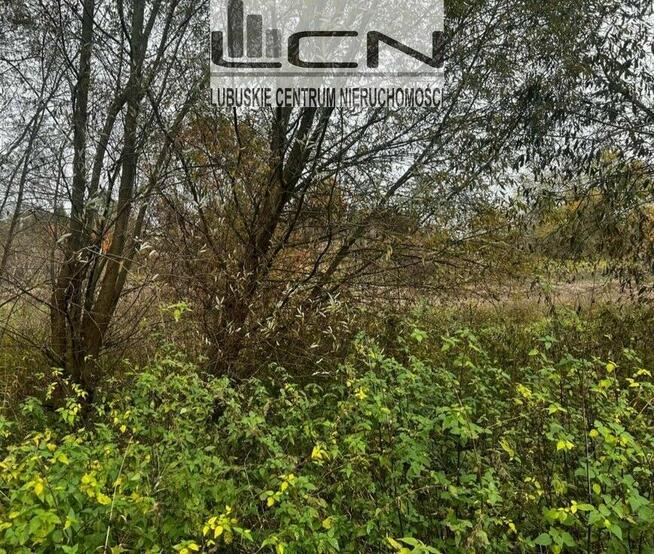 DZIAŁKA osiedle Piaski okolice ul. Owocowej Gorzów