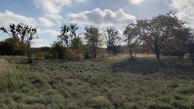 Działka na sprzedaż 2006 m2