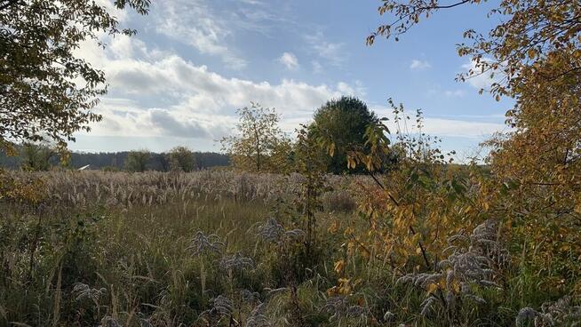 Działka na sprzedaż 2006 m2