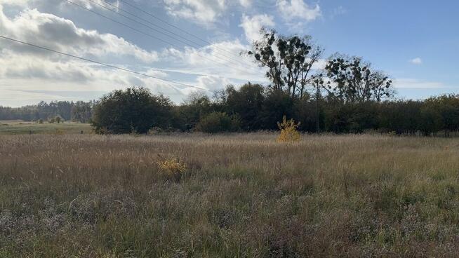 Działka na sprzedaż 2006 m2