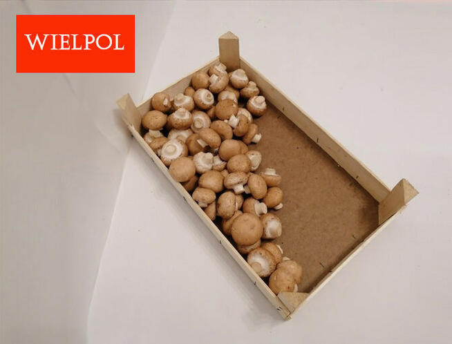 Sprzedaż skrzynek drewnianych do pieczarek /grzybów/