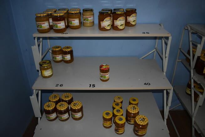 Miód z własnej pasieki. Super ceny