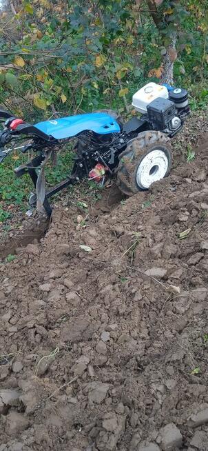 Pielęgnacja ogrodów