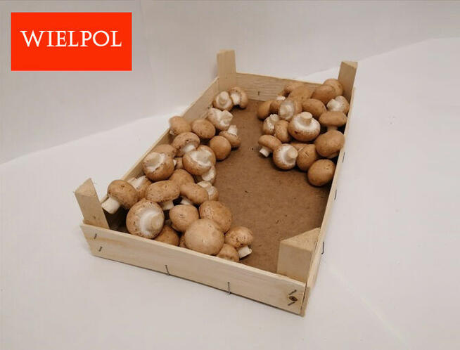 Sprzedaż skrzynek drewnianych do pieczarek /grzybów/