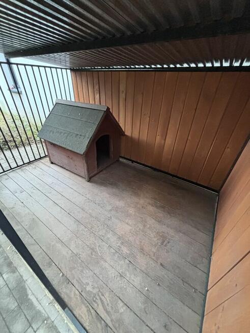 Kojec dla PSA - buda gratis