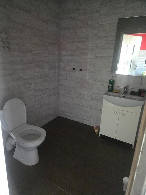 Syndyk sprzeda - Amelin