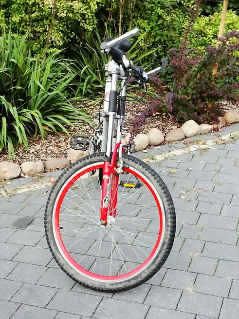 Rower dla ucznia górski marki MCKENZIE - koła 24