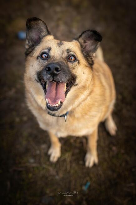 Marzę o spokojnym domu i spacerach po łące! - Hania