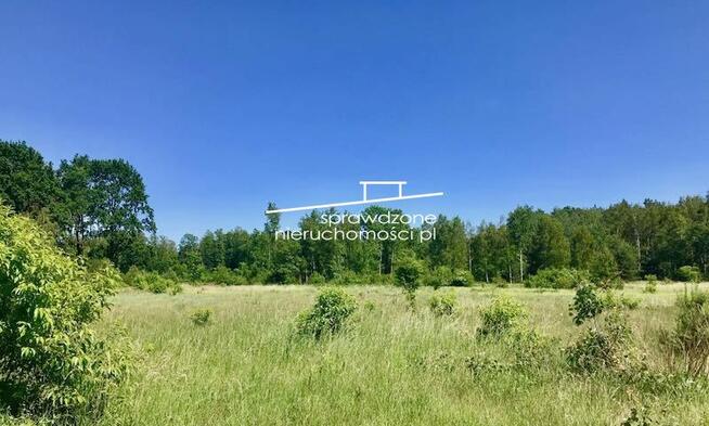 Działka siedliskowa Wiskitki