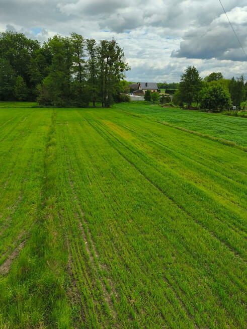 Działka rolno-budowlana Dziekaństwo gm. Komprachcice, Rzeczna