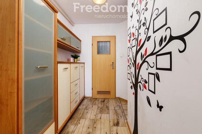 Kawalerka Redykajny – cisza i zieleń