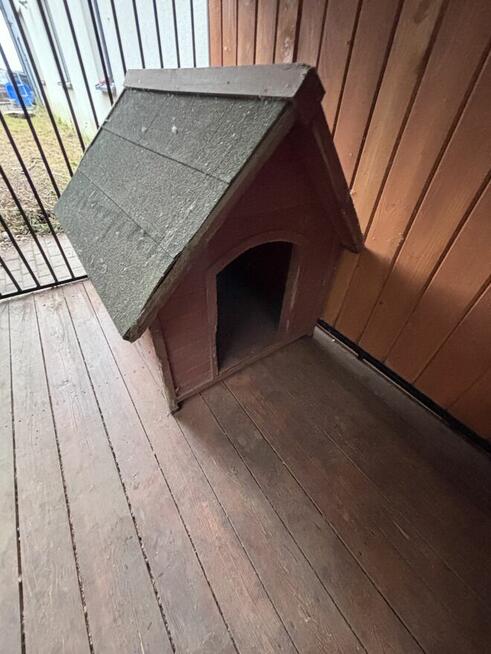 Kojec dla PSA - buda gratis