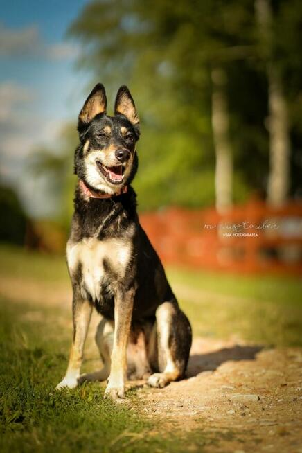 Nutka gotowa na nową piosenkę – ktoś jej poda rękę?