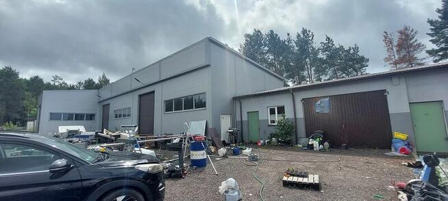 Syndyk sprzeda - Amelin