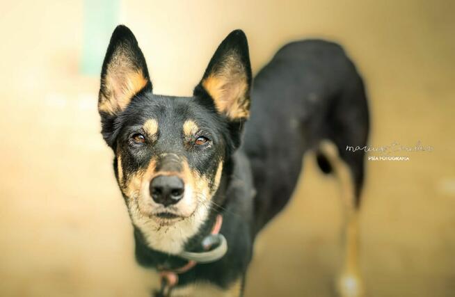 Nutka gotowa na nową piosenkę – ktoś jej poda rękę?