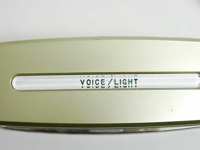 Mówiący radiowy zegar/budzik z termometrem wewnętrznym i dat