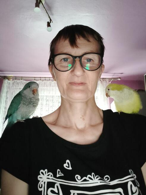 Pani szuka pana wolnego