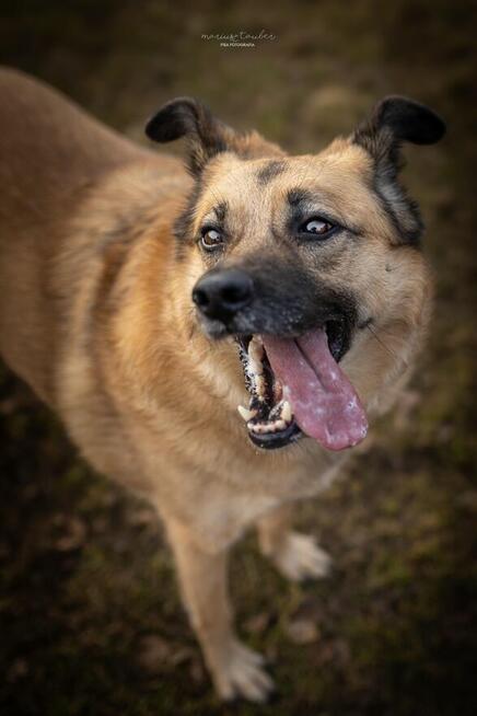 Marzę o spokojnym domu i spacerach po łące! - Hania