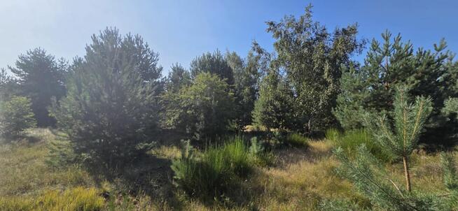 Działka rekreacyjna 2172 m² Wytyczno