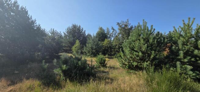 Działka rekreacyjna 2172 m² Wytyczno