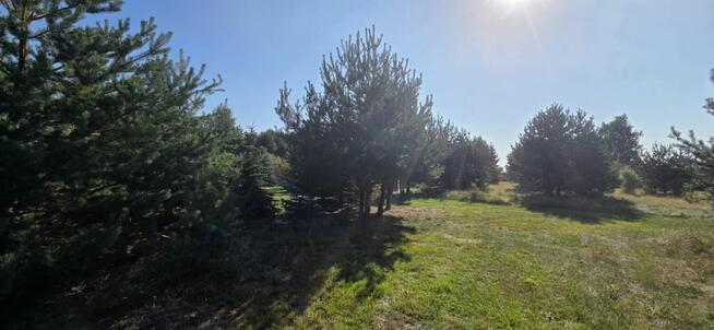 Działka rekreacyjna 2172 m² Wytyczno