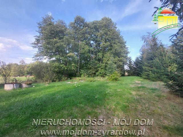 Działka rolno-budowlana Tomaszew gm. Wiskitki