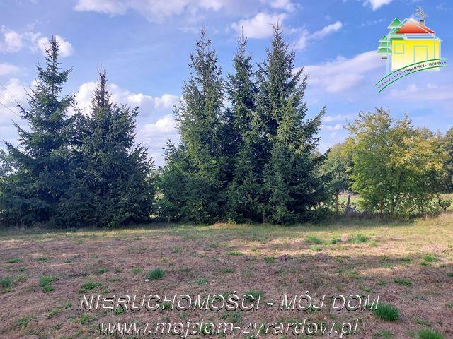 Działka rolno-budowlana Tomaszew gm. Wiskitki