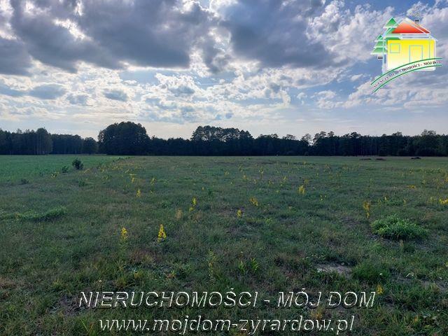 Działka rolno-budowlana Tomaszew gm. Wiskitki