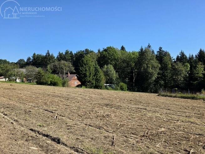 Działka rolno-budowlana Sędziszowa gm. Bobowa
