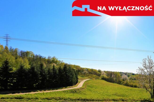 Na sprzedaż działka idealna pod winnice