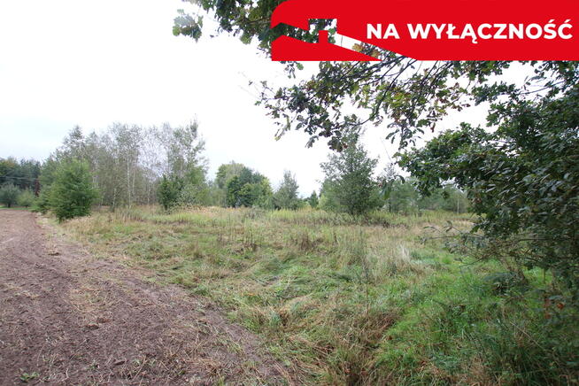 Działka budowlana ok.20 ar Gołąb g. Michów