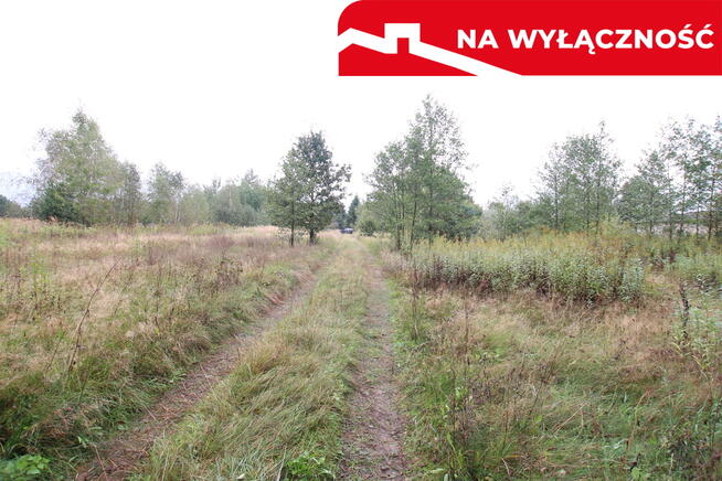 Działka budowlana ok.20 ar Gołąb g. Michów