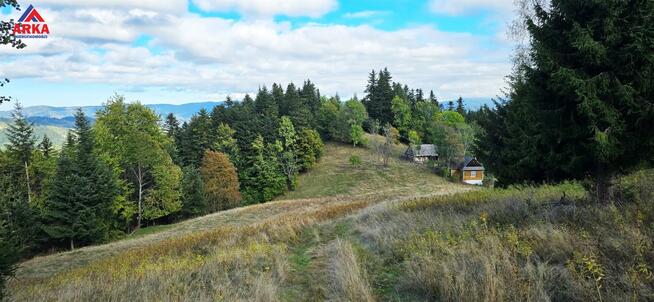 Dom Piwniczna-Zdrój