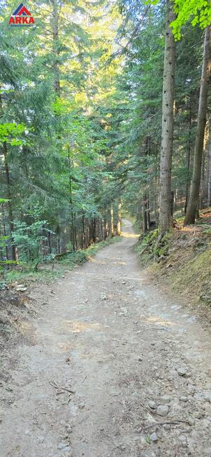 Dom Piwniczna-Zdrój