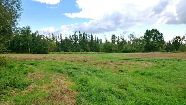 Działka rolna Gałów gm. Miękinia