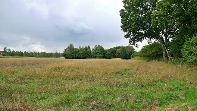 Działka rolna Gałów gm. Miękinia