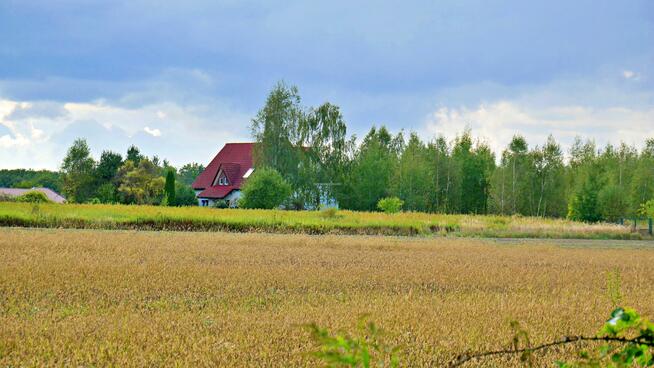 Działka rolna Gałów gm. Miękinia