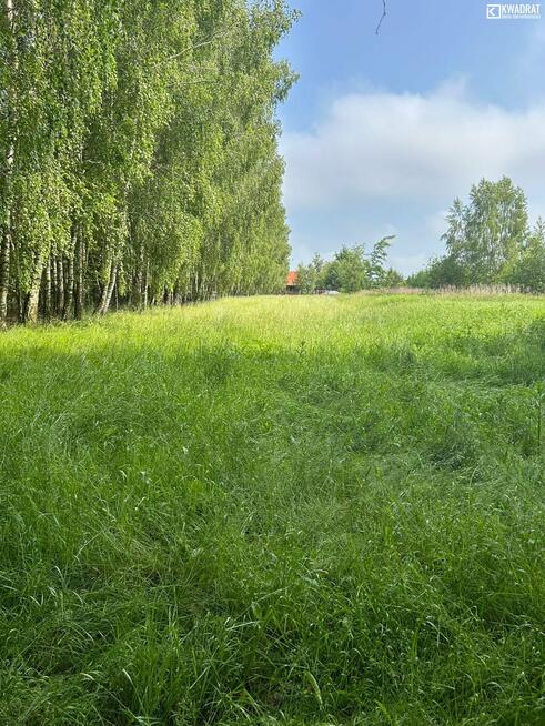 Działka rolno-budowlana Majdan Zahorodyński gm. Siedliszcze