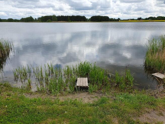 Działka rolno-budowlana Majdan Zahorodyński gm. Siedliszcze