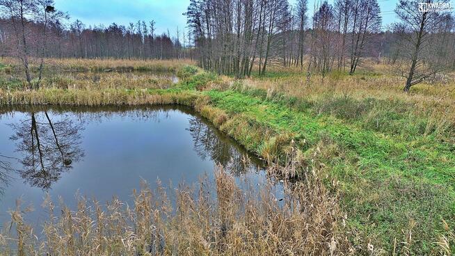 Działka rekreacyjna Siennica Nadolna gm. Krasnystaw