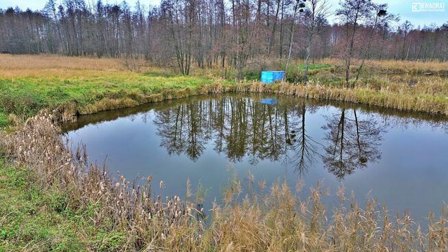 Działka rekreacyjna Siennica Nadolna gm. Krasnystaw
