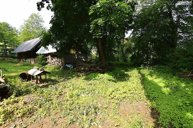 Działka siedliskowa Klementowice gm. Kurów