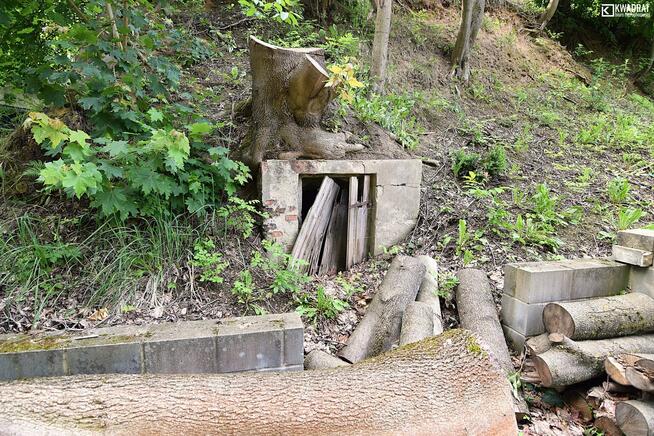 Działka siedliskowa Klementowice gm. Kurów