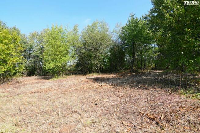 Działka budowlana Jabłonna Pierwsza gm. Jabłonna