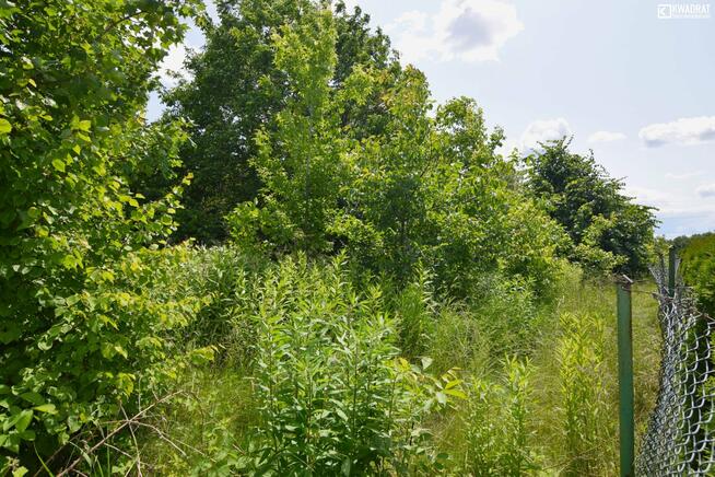 Działka budowlana Tomaszowice-Kolonia gm. Jastków