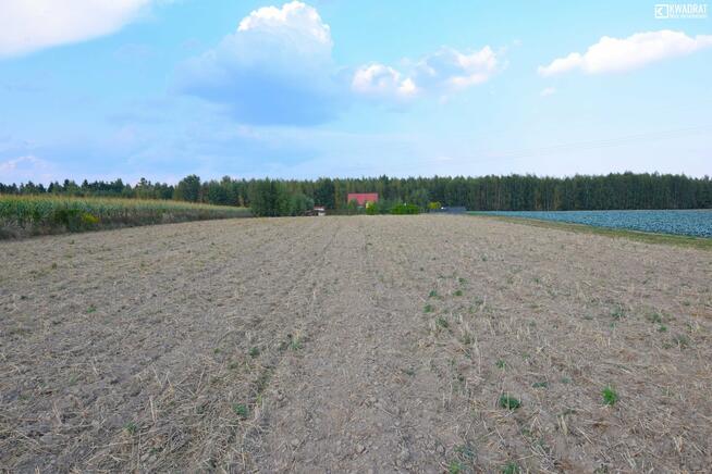 Działka budowlana Motycz gm. Konopnica