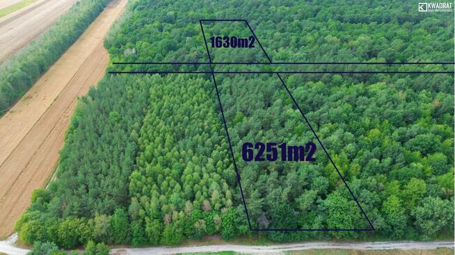 Działka leśna Niemce